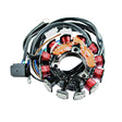 Coil, Armature / Stator - Kawasaki 900 / 1100 99-06