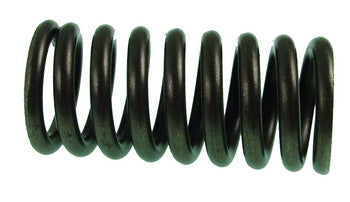 Exhaust Valve Spring FX140