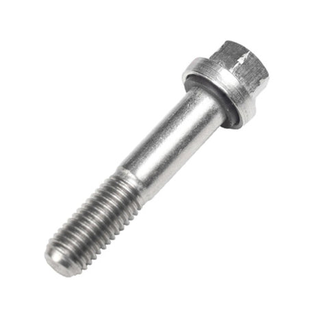 Screw, Lower Unit Carrier - Johnson / Evinrude 35-70hp